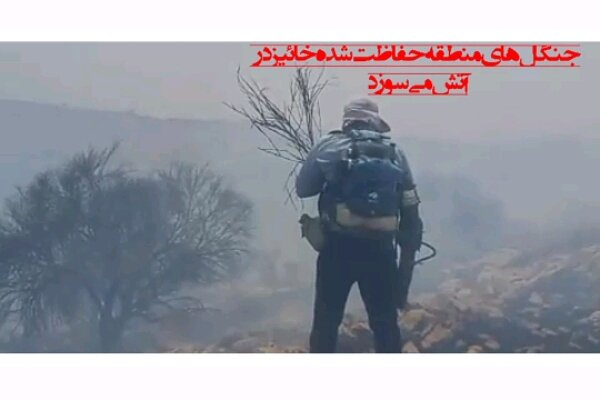 آتش همچنان بر پیکره درختان کهن منطقه حفاظت شده خائیز می تازد