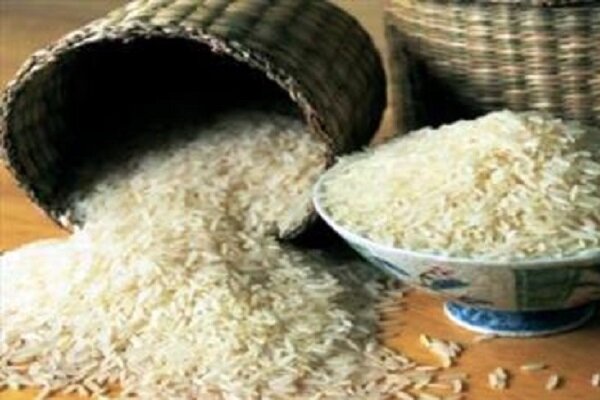  ۱۵ زنجیره تولید برنج در گیلان شناسایی شد