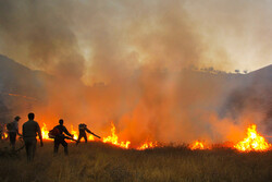 آتش‌سوزی جنگل در منطقه حفاظت شده کرائی شوشتر مهار شد