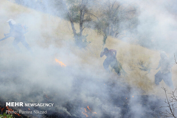 حريق في غابات البلوط بمنطقة "جهار محل وبختياري"