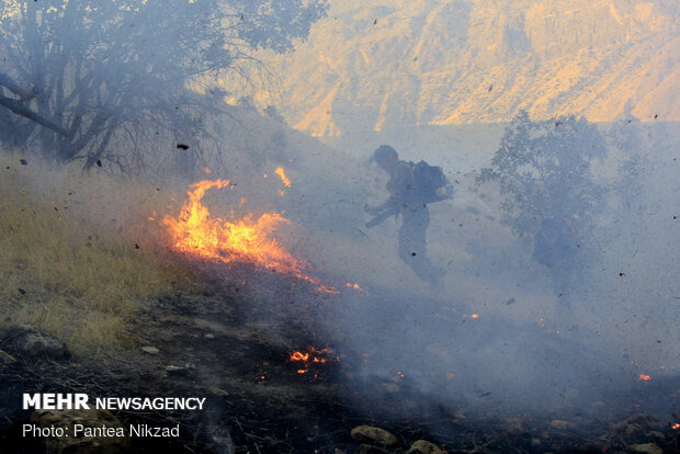 حريق في غابات البلوط بمنطقة "جهار محل وبختياري"