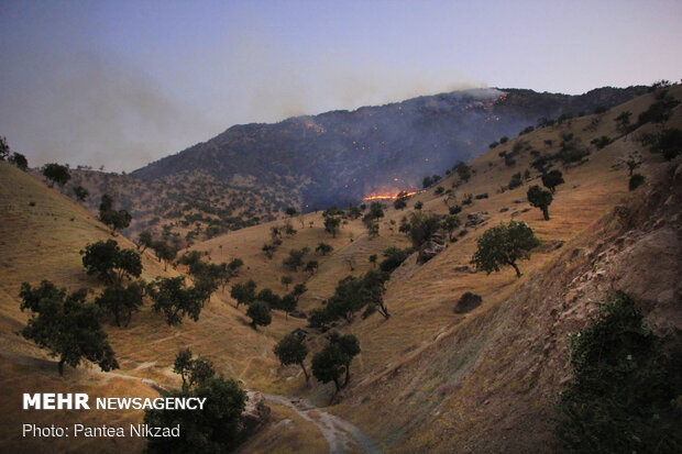 آتش سوزی در جنگل های بلوط بلند چهارمحال و بختیاری