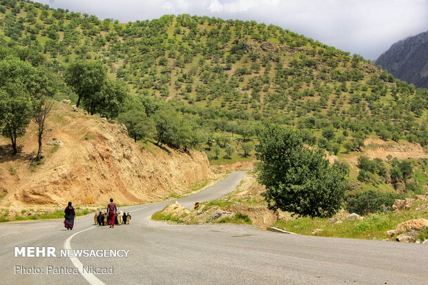 مناظری از طبیعت «اردل و مشایخ»