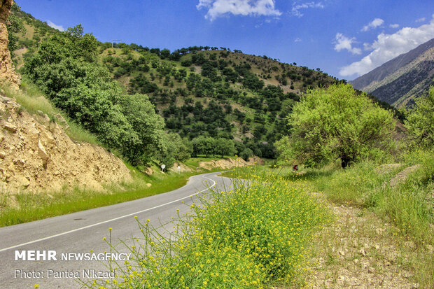 مناظری از طبیعت «اردل و مشایخ»