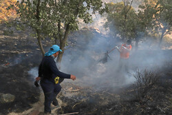 مدیرکل منابع طبیعی گلستان: آتش‌سوزی جنگل «خرسی‌کشی» کردکوی مهار شد