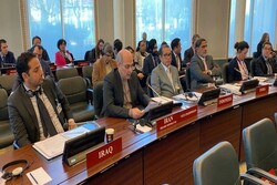Iran opposes OPCW's decision over Syria