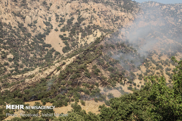 Extinguish of wildfire of Harariz heights in S Iran
