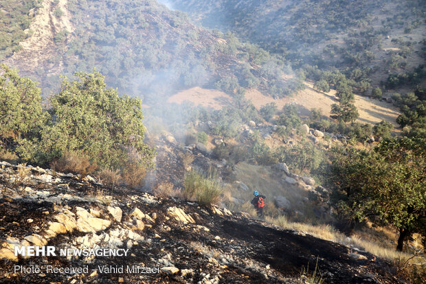 Extinguish of wildfire of Harariz heights in S Iran