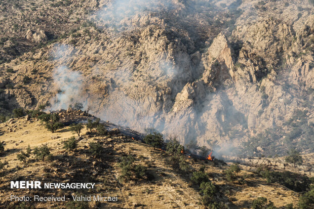 Extinguish of wildfire of Harariz heights in S Iran