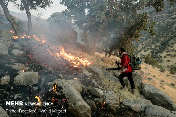 Extinguish of wildfire of Harariz heights in S Iran