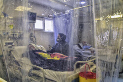 ۲۷۴ بیمار مبتلا به کرونا در بیمارستان های کردستان بستری هستند