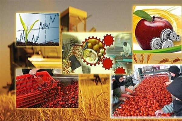 آذربایجان غربی قطب صنایع غذایی کشور/فعالیت ۶۳۴واحد صنایع تبدیلی