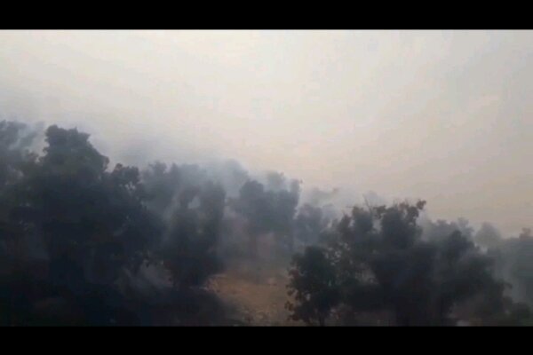 آتش جنگل های منطقه دمچنار بویراحمد را به خاکستر تبدیل کرد