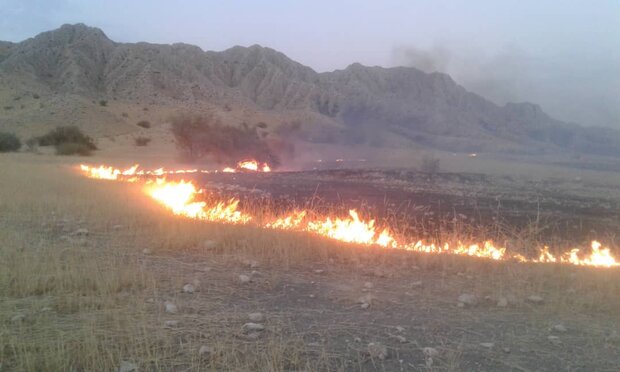 آتش سوزی ارتفاعات مهارلو در ۳ جبهه مهار شد