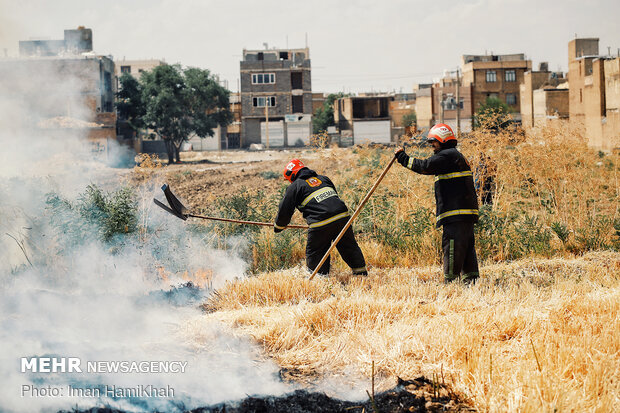 مهار آتش سوزی در مزارع جو اطراف قاسم آباد همدان