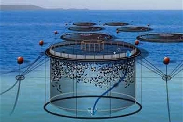 بزرگترین قفس پرورش ماهی متحرک در گمیشان به آب انداخته می شود