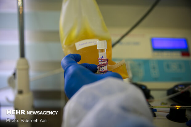 Plasma donation ward at Baqiatallah Hospital of Tehran 