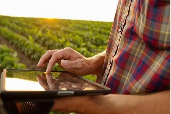 نوآوری‌های فناورانه برای توسعه کشاورزی هوشمند حمایت می‌شوند