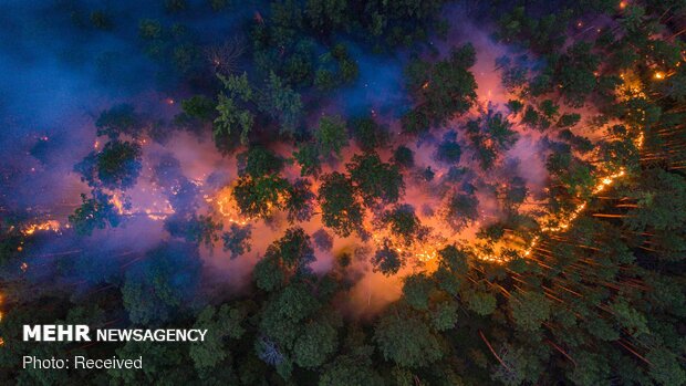 Sibirya ormanlarındaki yangından fotoğraflar
