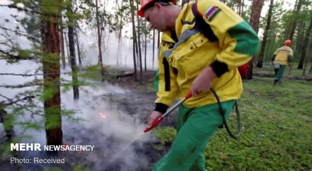 آتش سوزی گسترده در جنگل های سیبری