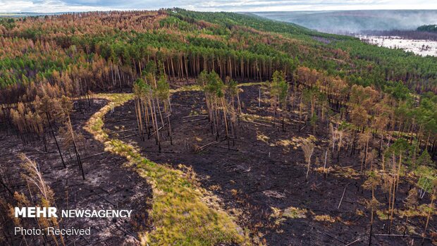 Sibirya ormanlarındaki yangından fotoğraflar