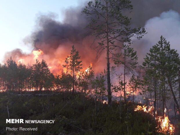 آتش سوزی گسترده در جنگل های سیبری