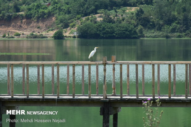 زیبایی های آستارا در قاب تصویر