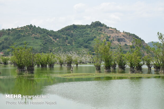 زیبایی های آستارا در قاب تصویر