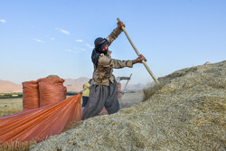 ۱۵ ملیار تمەن سەرفیترە لە کوردستان کۆ کراوەتەوە