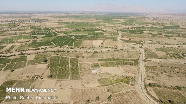 1st phase of pressurized irrigation network launched in Minab