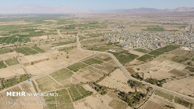 1st phase of pressurized irrigation network launched in Minab