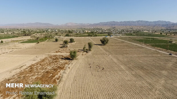 1st phase of pressurized irrigation network launched in Minab