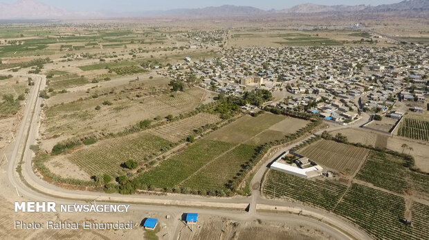 1st phase of pressurized irrigation network launched in Minab