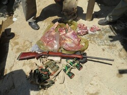 دستگیری شکارچیان غیرمجاز در فیروز کوه/لاشه ۴ قوچ وحشی کشف شد