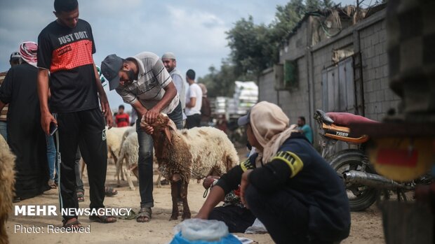 Gazze'de "Kurban Bayramı" havası