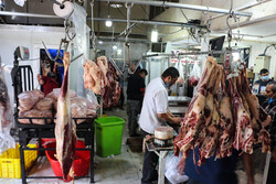 تابستان بازار گوشت، چشم انتظار تصمیم منطقی مسئولان