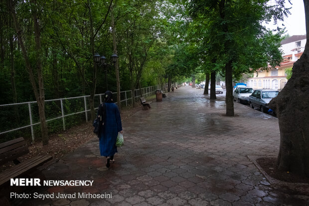 بارش باران تابستانی در رشت