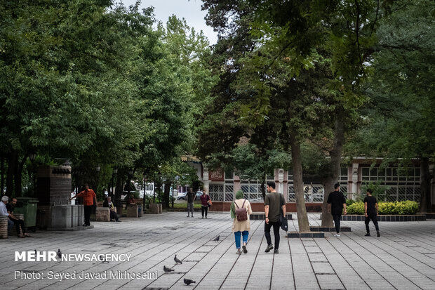 Summer rainfall in Rasht

