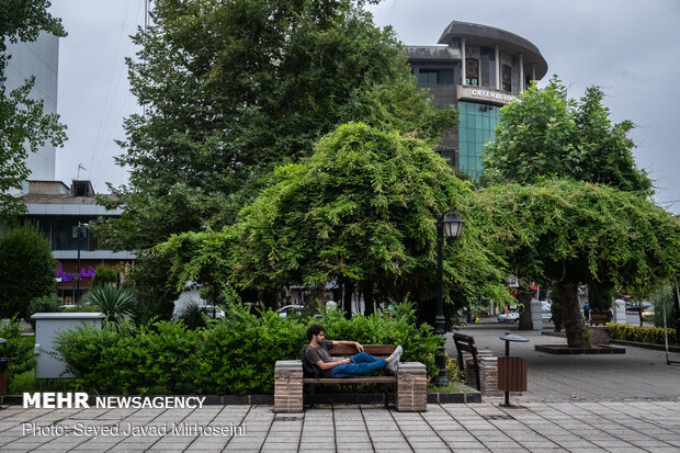 Summer rainfall in Rasht
