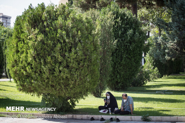 Observing Arafa Day at Tehran University 