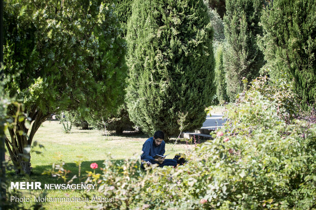 Observing Arafa Day at Tehran University 