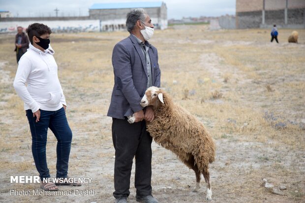 İran'da "Kurban Bayramı" heyecanı