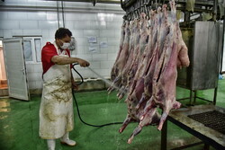 اصلاح باور غلط مردم در خرید گوشت تازه/ فرهنگسازی گسترده انجام شود