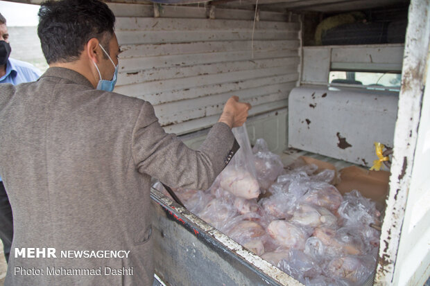توزیع گوشت نذری در اردبیل