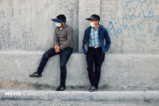 بازار فروش دام در همدان