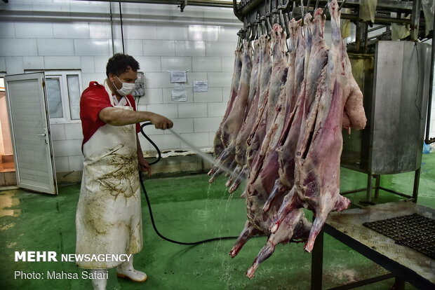 قربانی دام و توزیع گوشت در بوشهر/ نظارت‌ بهداشتی انجام می‌شود