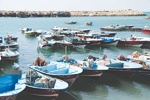 صیادان از تردد غیرضروری در دریا به‌ویژه در شب خودداری کنند