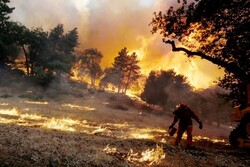 ABD'de orman yangınları devam ediyor