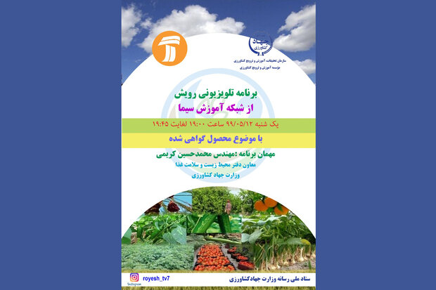 «رویش» محصول گواهی شده را بررسی می کند