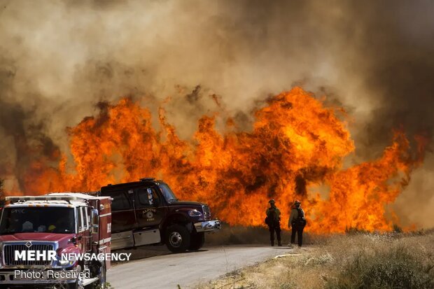 آتش‌سوزی در جنگل‌های جنوب کالیفرنیا و تخلیه ساکنان